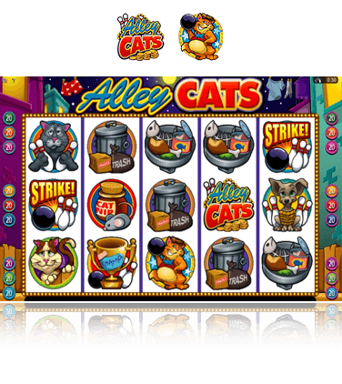 Microgaming Alley Cats Spiel