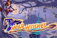 Wild Witches